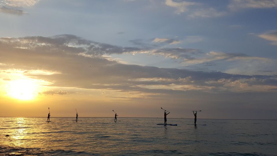 Portorož: Sunset Coastline Stand-Up Paddleboarding Tour - Meeting Point