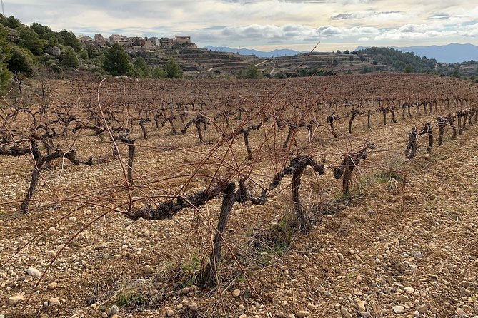 Priorat Wineries Tour With Wine Tastings and Lunch From Barcelona - Cancellation Policy and Refunds