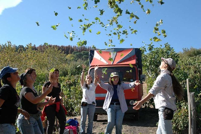 Private 6-Hour Tour of Three Etna Wineries With Food and Wine Tasting - Indulging in Gastronomic Delicacies