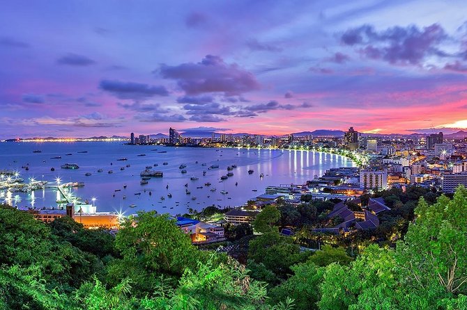 Private Airport Transfer: Bangkok To/From Pattaya - Airport Arrival Flexibility