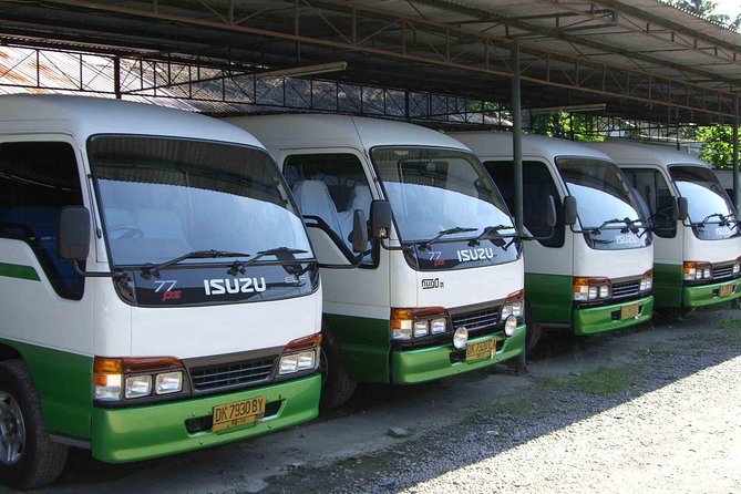 Private Arrival Transfer: Bali Airport to Hotel - Accessibility Features