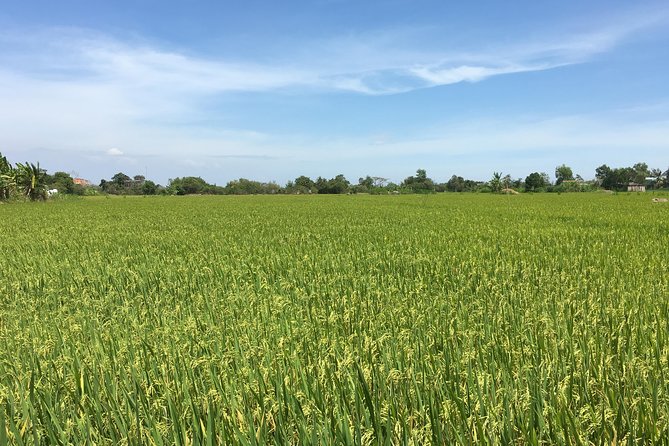 Private Authentic Mekong River Full Day Trip - Non Touristic Mekong Delta - Relishing Cultural and Historical Insights