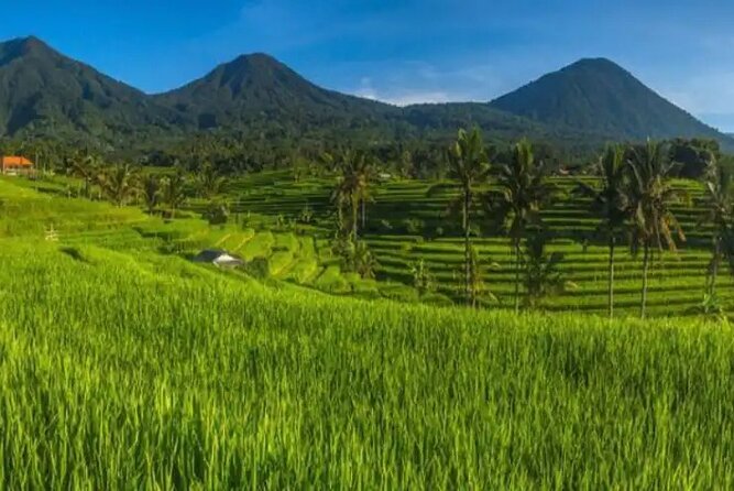 Private Bali Tour of Ubud Swing and Ulun Danu Beratan Temple - Fees and Taxes Included