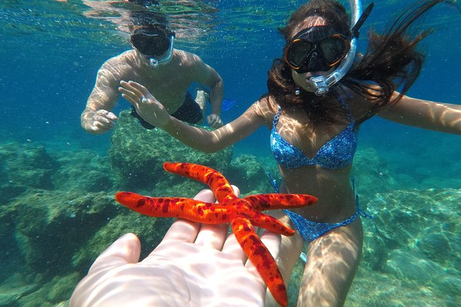 Private Boat Trip to Kas Islands Including BBQ Lunch - Dietary Accommodations