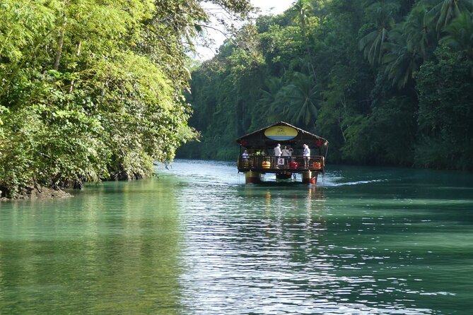 Private Bohol and Chocolate Hills With Loboc River Cruise - Wildlife Refuge in Corella