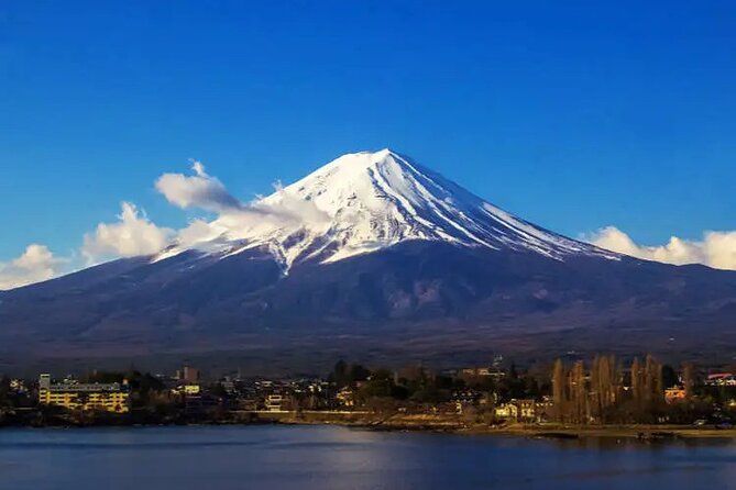 Private Car/Van Charter Full Day Tour MT Fuji And Hakone, (Guide) - Itinerary Options