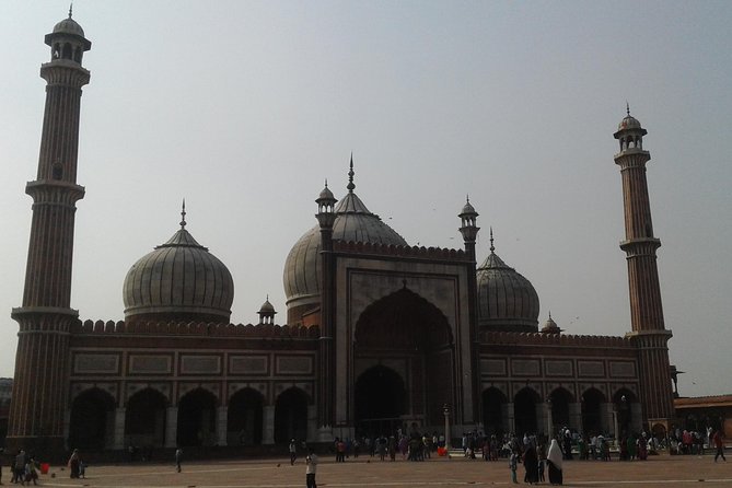 Private City Tour of New Delhi and Old Delhi - Accessibility Features