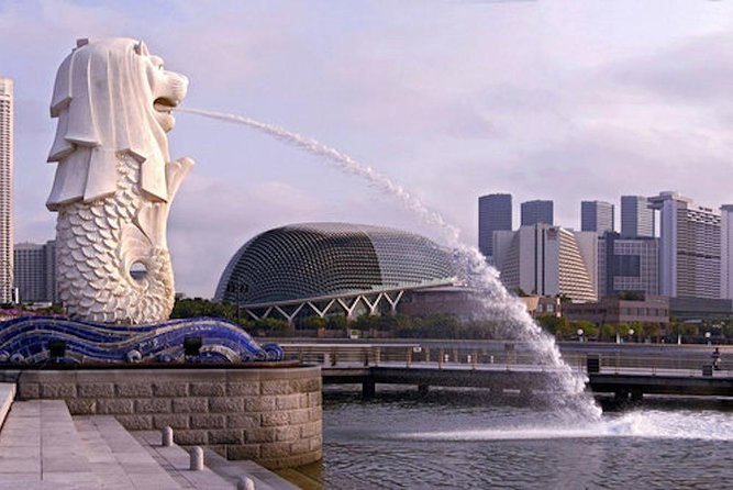 Private Customised Shore Excursion in Singapore By Car - Accessibility Features