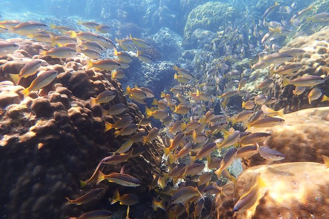 Private Full-Day Red Dragon Yacht to Angthong National Marine Park - Logistics