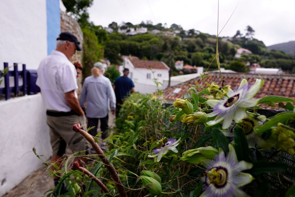 Private Full-Day, Regaleira, Cabo Da Roca & Natural Park . - Exploring Sintra and Scenic Viewpoints