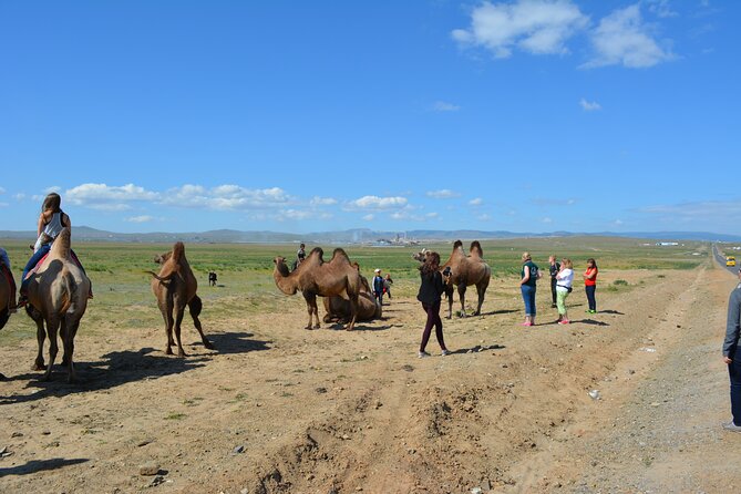Private: Gorkhi-Terelj National Park and Genghis Khans Statue Complex Tour - Dining at a Local Resort