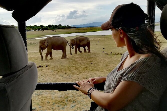Private Half Day Safari in Udawalawe National Park - Wildlife Encounter Highlights