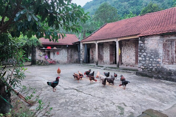 Private Ninh Binh Luxury Day Tour (Tam Coc, Mua Cave, Cycling) - Additional Tour Information