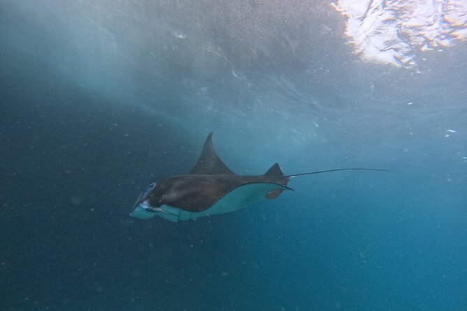 PRIVATE Nusa Penida on Boat Snorkeling & Island Tour (INCLUSIVE) - Health and Accessibility