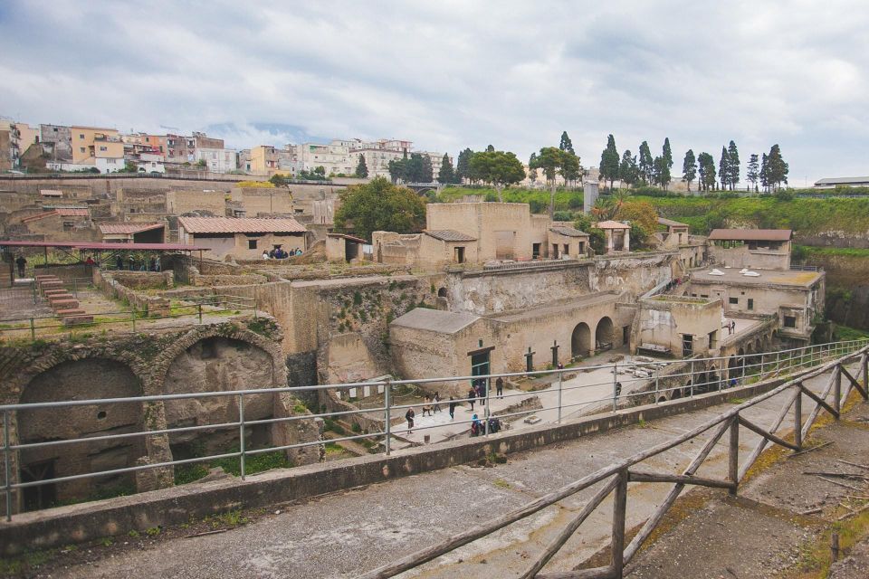 Private Pompeii Tour and Wine Tasting - Tour Itinerary