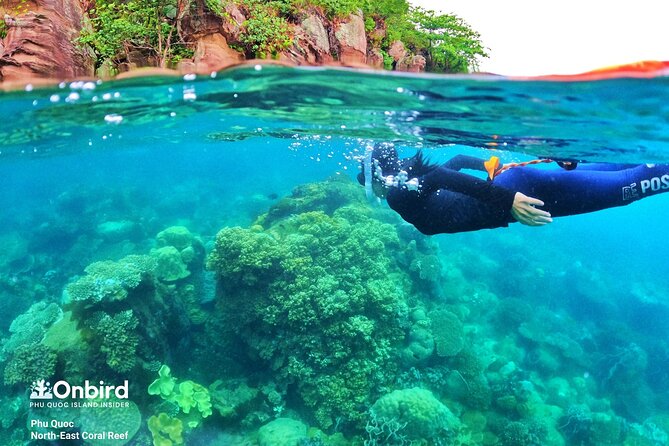 Private- Short Snorkeling at Coral Mountain & North-East Coral Reef by Speedboat - Safety and Training Details