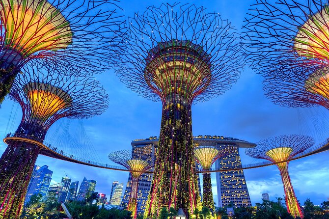 Private Singapore Night Tour With Gardens by the Bay,Trishaw Ride & River Cruise - Tour Details