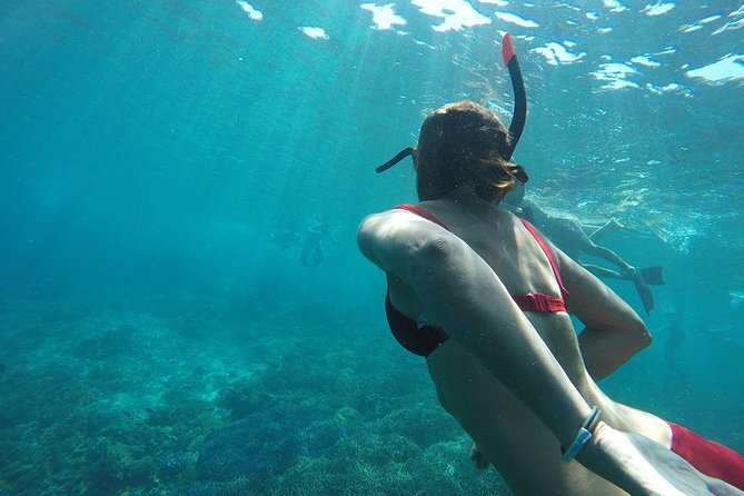 Private Snorkeling Gili Island (Coral, Statue and Turtle) - Sunken Scooters and Sea Turtles