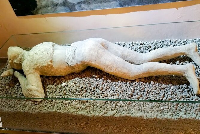 Private Tour: Pompeii Tour With Family Tour Option - Reviews