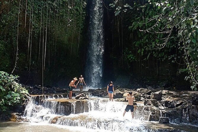 Private Tour to Sumampan Waterfall, Monkey Forest, Rice Terraces and Swing - Batuan Village Painting