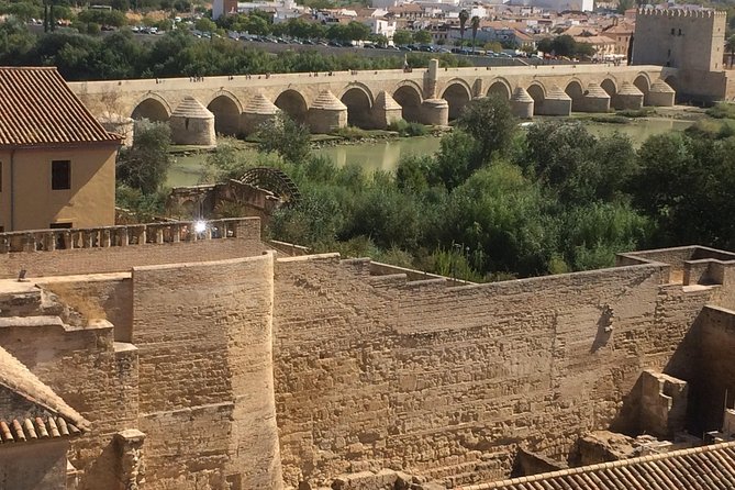 Private Visit Mosque-Cathedral, Jewish Quarter, Alcazar and Synagogue - Visiting the Alcazar of Cordoba