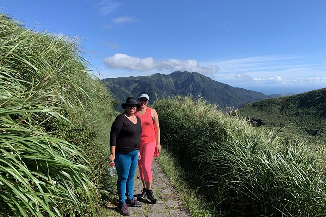 Private Yangmingshan Volcano Tour - Yehliu Geopark Exploration