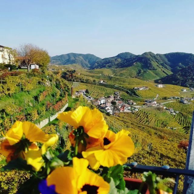 Prosecco: Wine Tour & Tasting Along the Unesco Hills - Discover Venetos Beauty