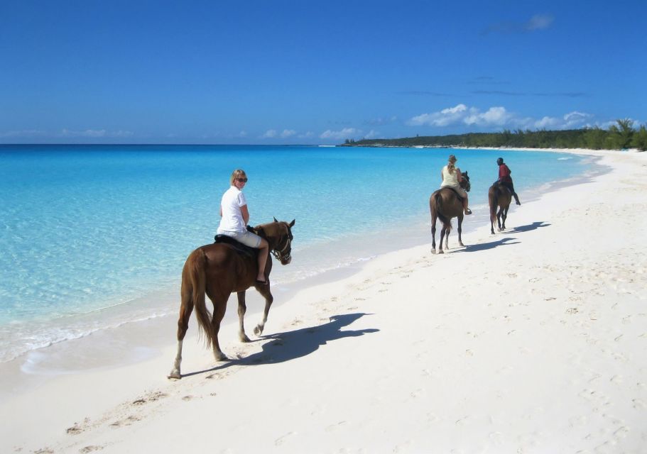 Puerto Plata: Horseback Riding on the Beach - Photo Opportunities