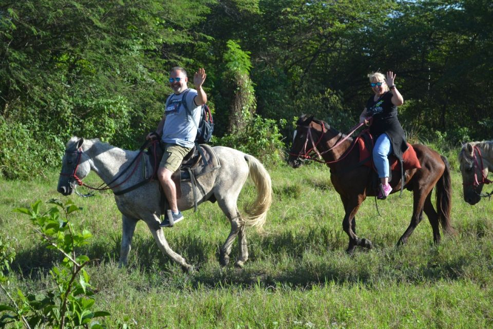 Puerto Plata: Mountain Horse Ride Tour With Drinks - Frequently Asked Questions