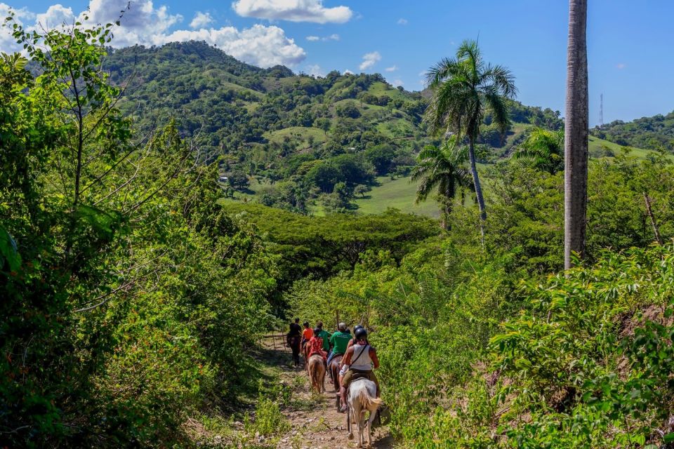 Puerto Plata: Waterfalls, Zip Line Adventure and Horse Ride - Indulge in Dominican Cuisine