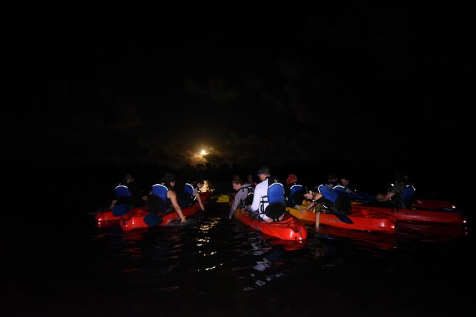 Puerto Rico Sunset Magic: Bio Bay Kayaking Tour From Fajardo - Guest Reviews and Feedback