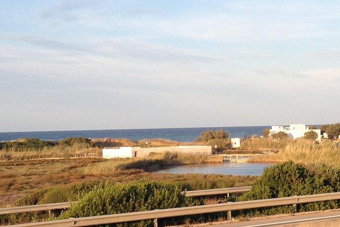 Puglia Bike Tour: Cycling Through the History of Extra Virgin Olive Oil - Choosing Between Morning or Afternoon Tours