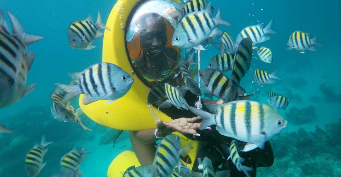 Punta Cana: Scubadoo Ocean Exploration Diving Adventure - Participant Requirements