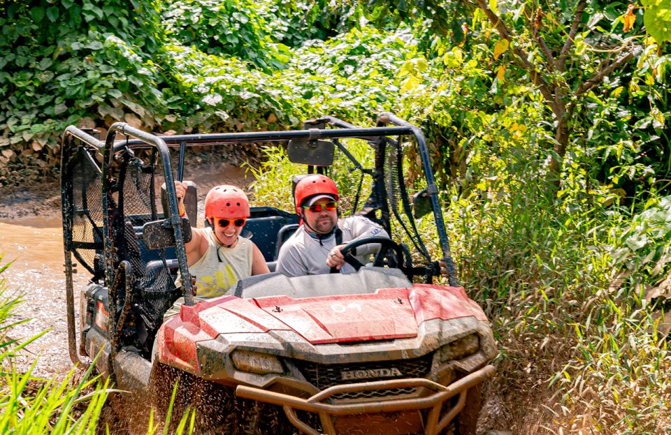 Punta Cana: Triple Jungle Adventure Park Tour With Tastings - Monkeyland Exploration