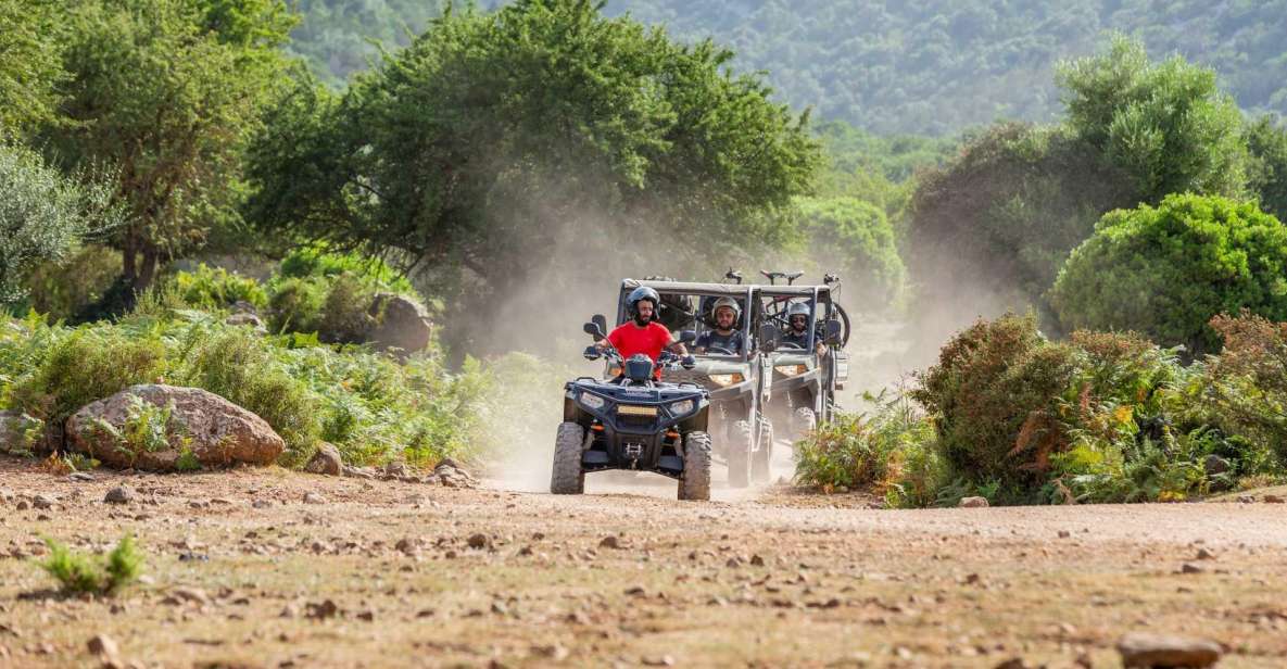 Punta Salinas: Buggy Excursion From Baunei - Terrain and Riding Conditions