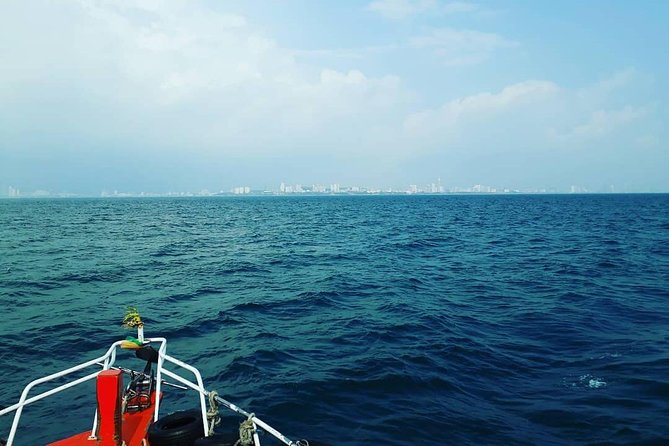 Racha & Coral Island Day Trip by Speedboat - Lunch Included - Tips for an Enjoyable Trip