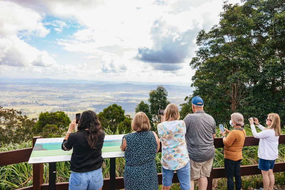 Rainforests and Glow Worm Cave: Day Tour From Brisbane - Meeting Point and Important Items