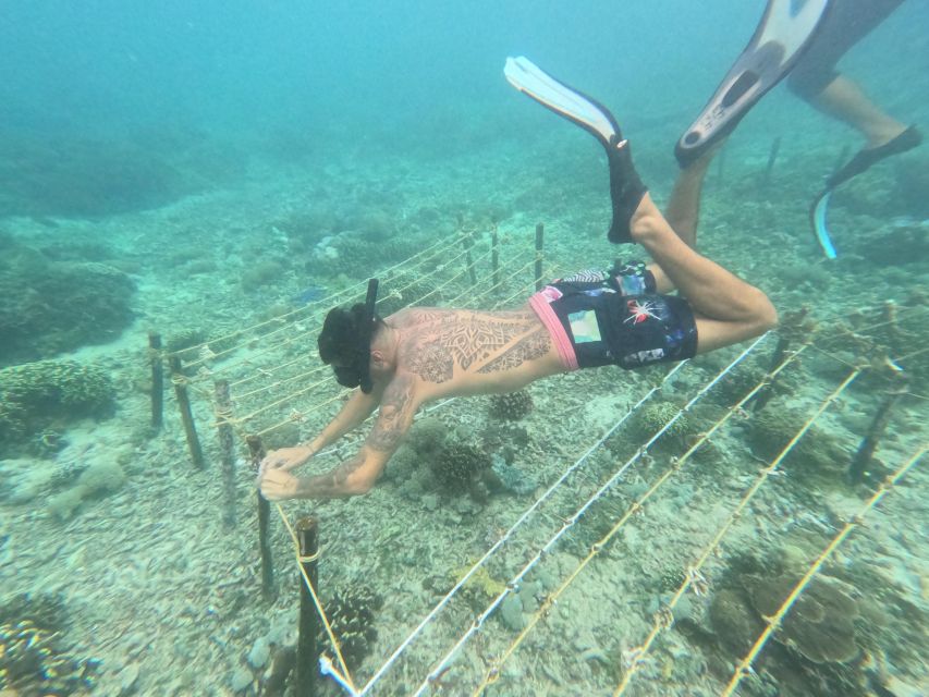 Reef Rehabilitation Course & Snorkeling - Exclusions and Limitations