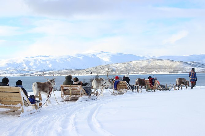 Reindeer Sledding Experience and Sami Culture Tour From Tromso - Reindeer Sleigh Ride