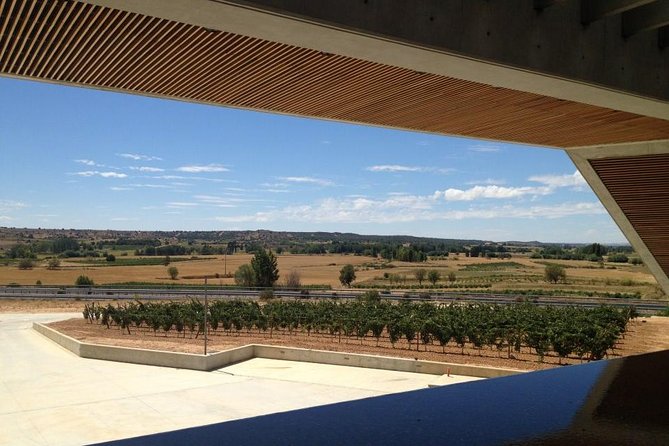 Ribera Del Duero Wineries Guided Tour & Wine Tasting From Madrid - Knowledgeable Local Bilingual Guide