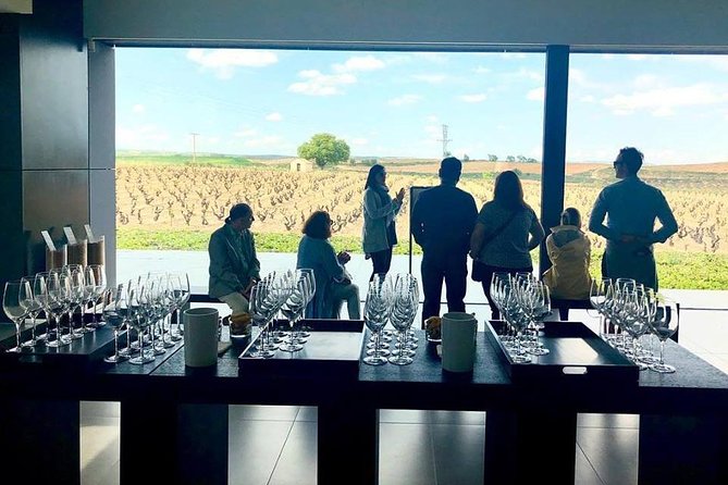 Ribera Del Duero Winery Guided Tour and Wine Tasting From Madrid - Tour Inclusions and Exclusions