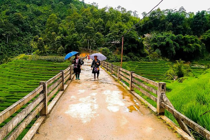 Rice Terraced Fields & Homestay Experience– 2D 1N - Exploring Hmong Villages