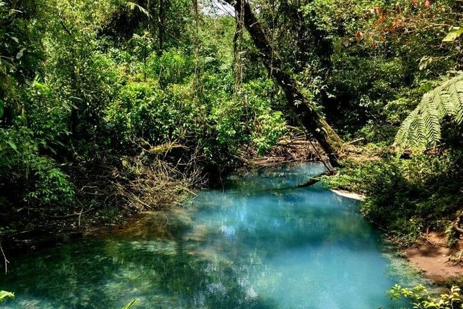 Rio Celeste Full-Day Tour From La Fortuna - Tips for Travelers