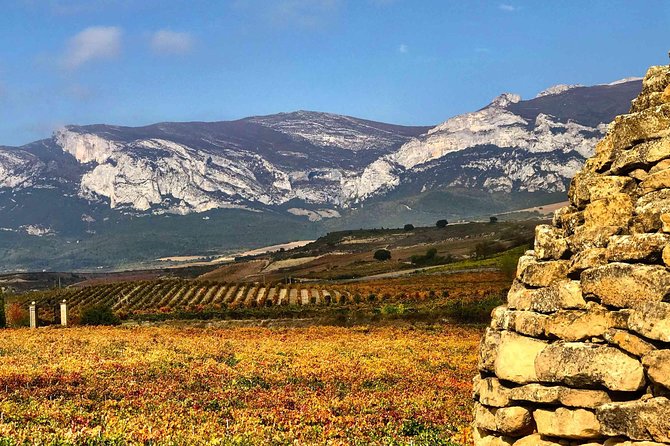 Rioja Wineries and Laguardia Tour With Picnic From San Sebastian - Second and Third Winery Visits