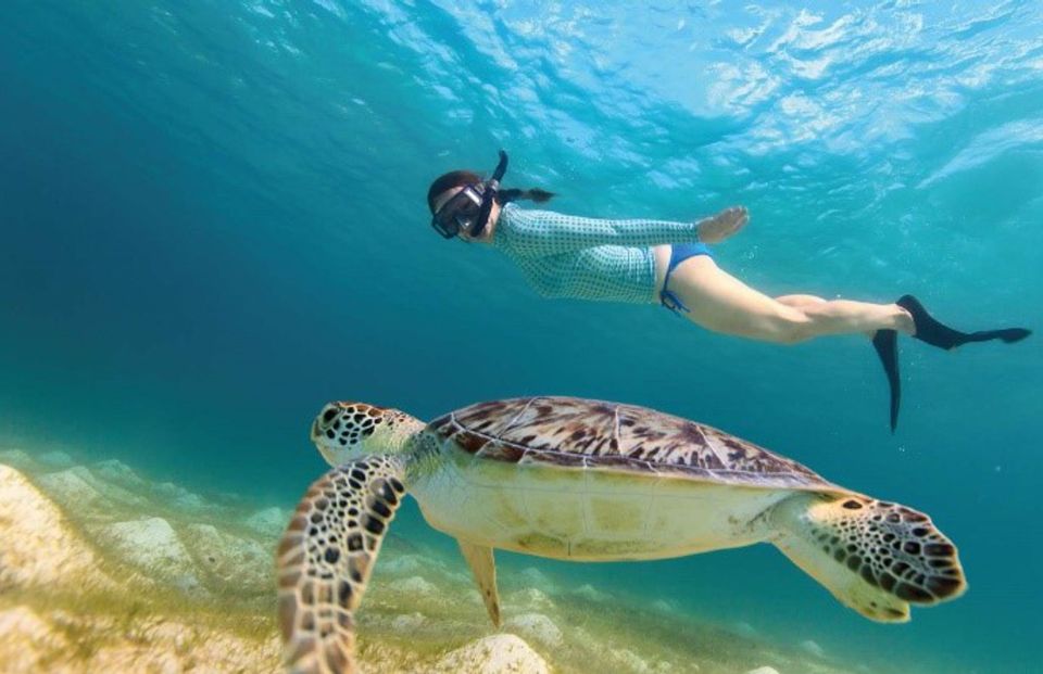 Riviera Maya: Tulum Guided Tour and Akumal Swim With Turtles - Snorkeling in Akumal