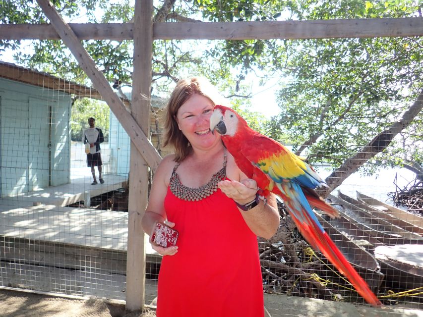 Roatan: Mangrove Tunnel Tour With Snorkeling - Lagoon Snorkeling Experience