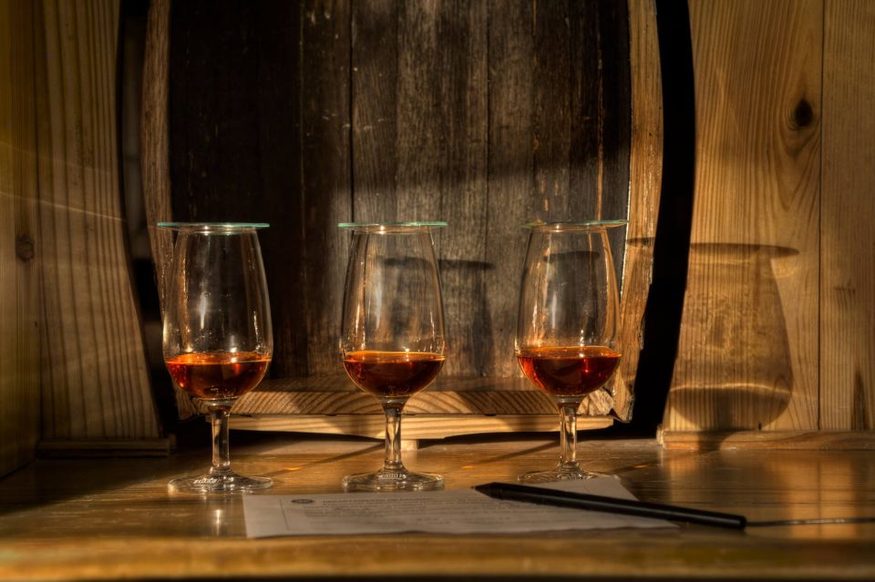 Ron Barcerló: Rum Factory Tour With Rum Tastings - Aging Cellar and Barrel Workshop