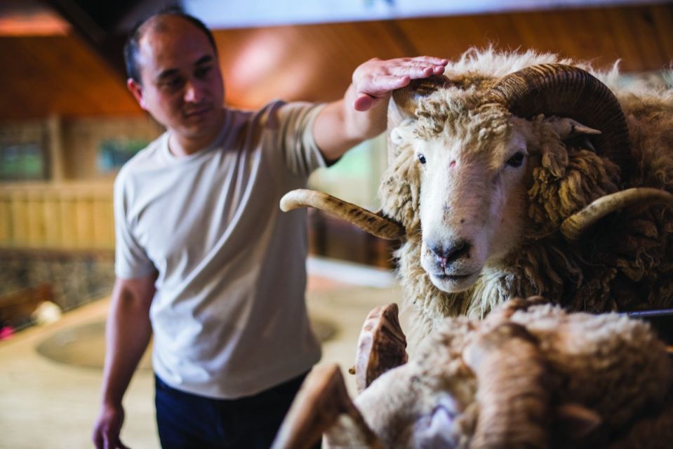 Rotorua: Agrodome Farm Tour With Show and Produce Tasting - Farm Tour Details