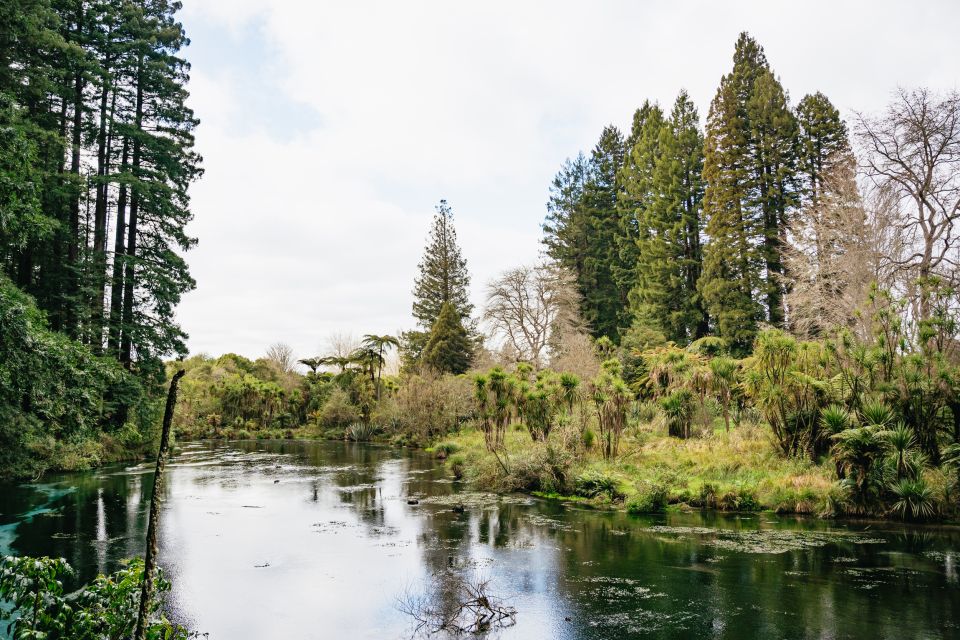 Rotorua: Explore The Lakes Half-Day Morning Tour - Group Size and Highlights