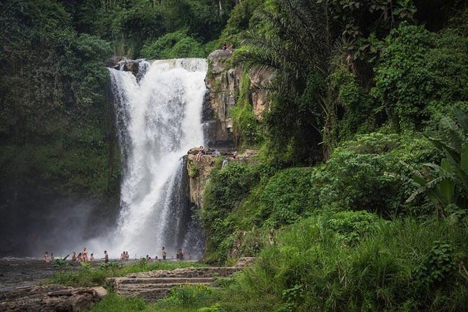 Sacred Monkey Forest Sanctuary - Rice Terrace - Waterfall - Temple - Batuan Temple